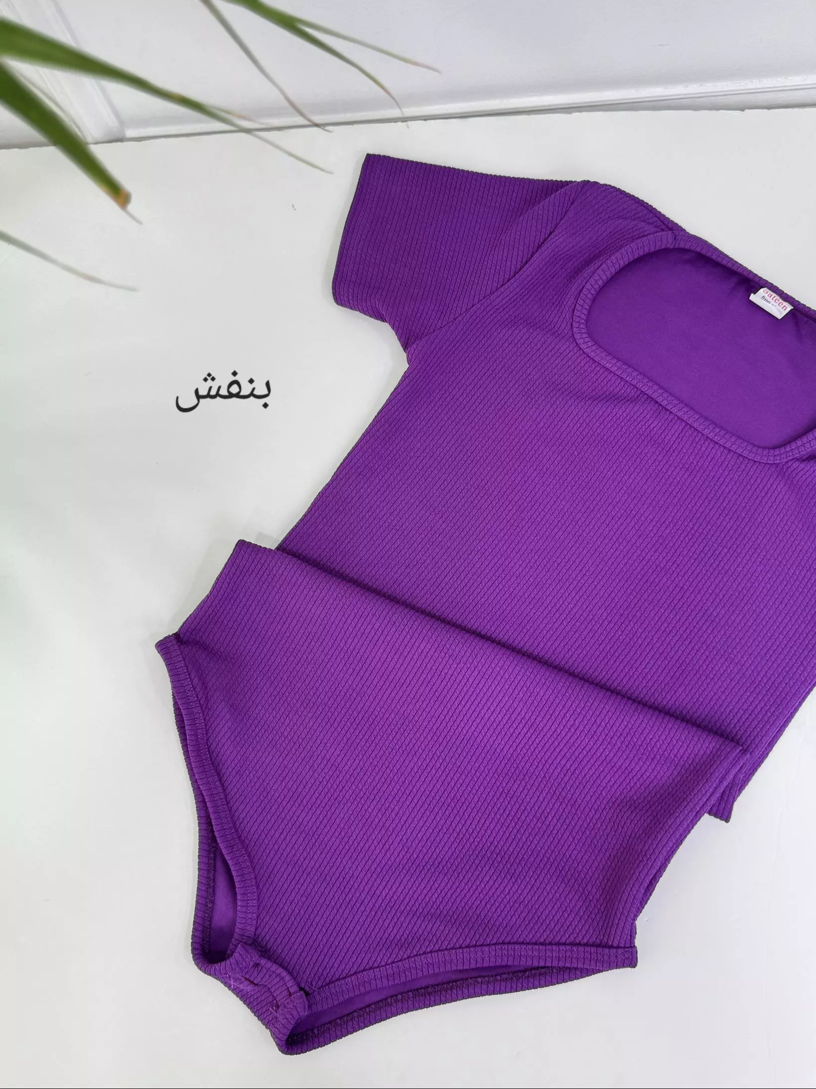 بادی آنیلا